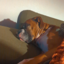 the-ash-holio avatar