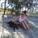 the-avocado-diaries avatar