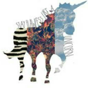 the-awkward-orca avatar