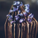 the-b00k-keeper-k avatar