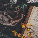 the-baby-witchy-blog avatar