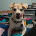 the-bastard-family avatar