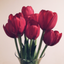 the-beauty-in-it avatar