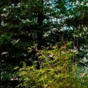 the-becoming-myself-blog avatar