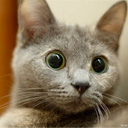 the-beep-boop-man avatar