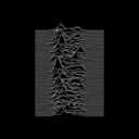 the-beetlebum-is-a-gun avatar