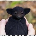 the-belle-of-hell avatar