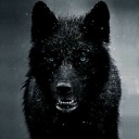 the-big-black-wolf-888 avatar