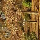 the-bitch-salad avatar