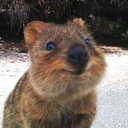 the-bitter-sea-blog1 avatar