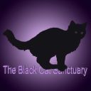 the-black-cat-sanctuary avatar