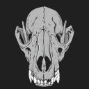 the-black-cull avatar