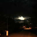 the-bloodyezio avatar