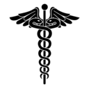 the-bloomroom avatar