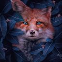 the-blue-eyed-fox avatar