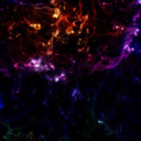 the-book-life-chose-me avatar