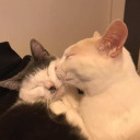 the-br0ken-pe0ple avatar