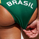 the-brazilian-body-blog avatar