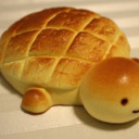 the-bread-turtle avatar