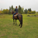 the-caffeinated-equestrian avatar