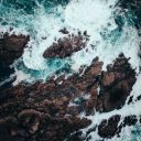 the-call-of-the-ocean avatar