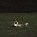 the-captain-and-his-suga avatar