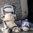 the-carson-blog-for-carson avatar