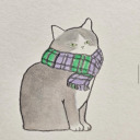 the-cass-meow avatar