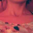 the-cat-human avatar