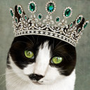 the-cat-with-the-emerald-tiara-1 avatar