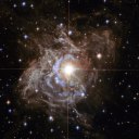 the-cepheid-system avatar