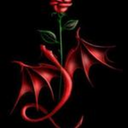 the-chained-rose avatar