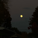 the-chaos-craft avatar