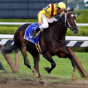 the-clubhouse-turn avatar