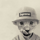 the-cola-addict avatar