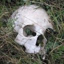 the-confused-performer avatar