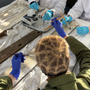 the-conservation-station avatar