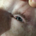 the-creepy-old-man avatar