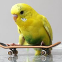 the-crying-skateboarder avatar