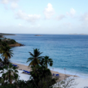 the-cultivated-creative avatar