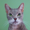 the-daily-meatball avatar