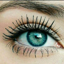 the-daydreameeer avatar