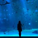 the-delightfulcollectionlove avatar