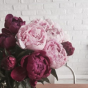 the-desi-desk avatar