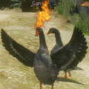 the-devils-goose avatar