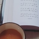 the-diary-of-a-pandaa avatar