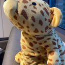 the-doe-eyed-girl avatar