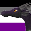the-dragon-sianthus avatar