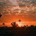 the-dream-hunter avatar