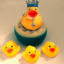 the-duck-army avatar